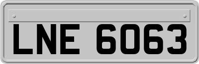 LNE6063