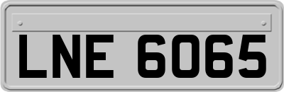 LNE6065
