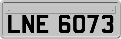 LNE6073