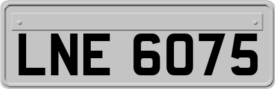 LNE6075