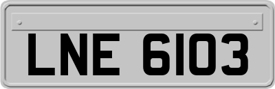 LNE6103