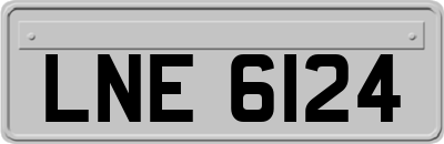 LNE6124