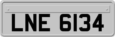 LNE6134