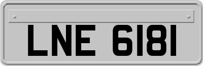 LNE6181