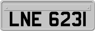 LNE6231
