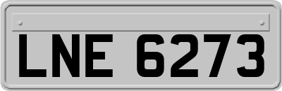 LNE6273