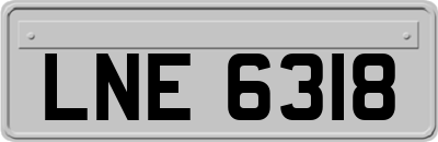 LNE6318