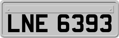 LNE6393