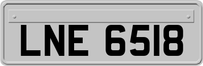 LNE6518