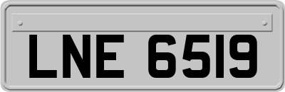 LNE6519
