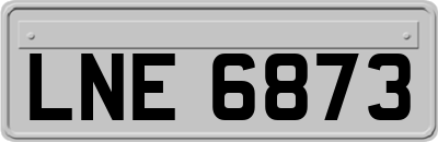 LNE6873