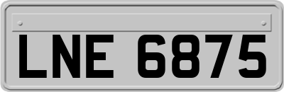 LNE6875