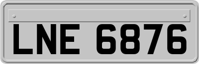 LNE6876
