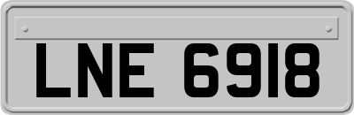 LNE6918