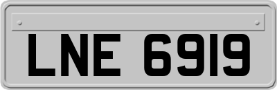 LNE6919