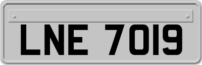 LNE7019