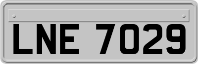 LNE7029