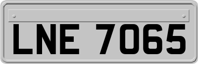 LNE7065