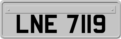 LNE7119