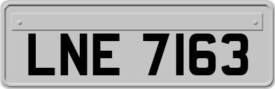 LNE7163