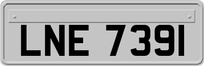 LNE7391