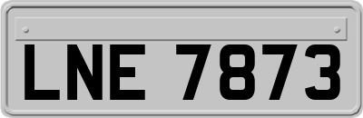 LNE7873
