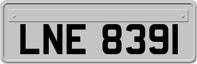 LNE8391
