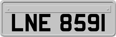 LNE8591
