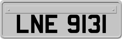 LNE9131