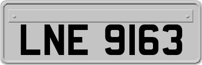 LNE9163