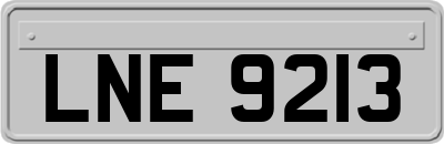 LNE9213
