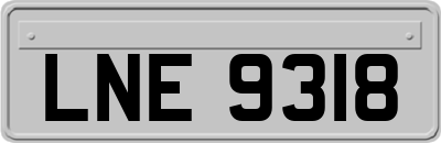 LNE9318