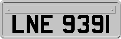 LNE9391