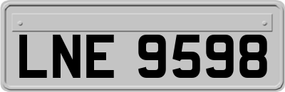 LNE9598