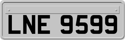 LNE9599