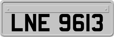 LNE9613