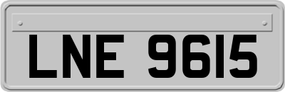LNE9615
