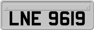 LNE9619