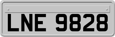 LNE9828