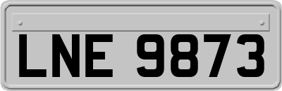 LNE9873
