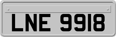 LNE9918