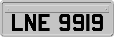 LNE9919