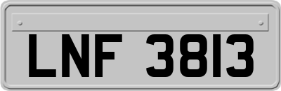LNF3813