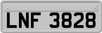 LNF3828