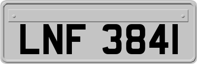 LNF3841