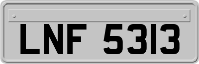LNF5313