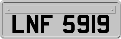LNF5919