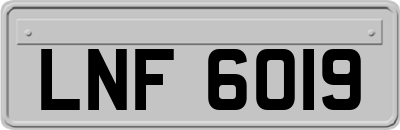 LNF6019