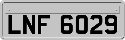 LNF6029
