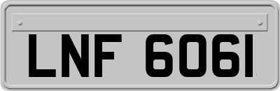 LNF6061